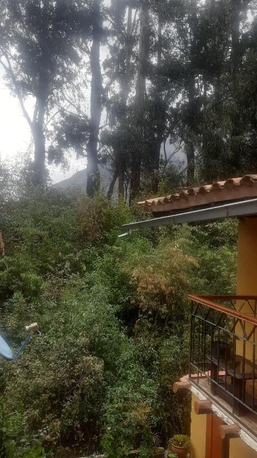 Wayras Hostal Ollantaytambo Eksteriør bilde