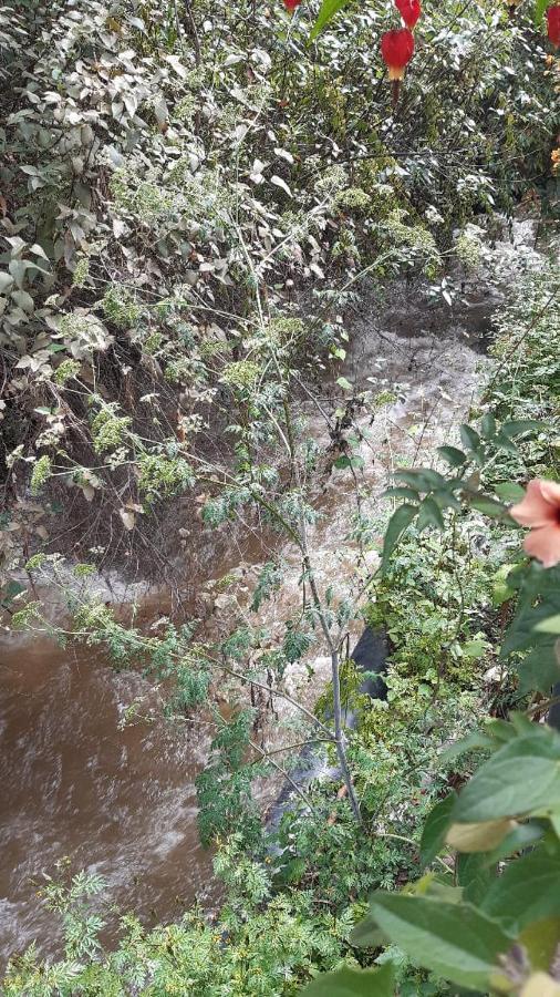 Wayras Hostal Ollantaytambo Eksteriør bilde